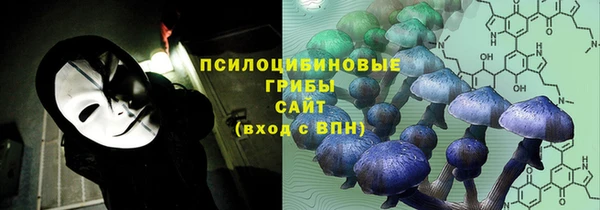 кокс Нея