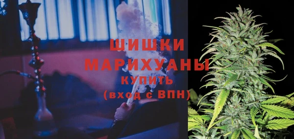 кокс Нея